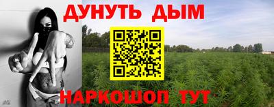 индика Бузулук