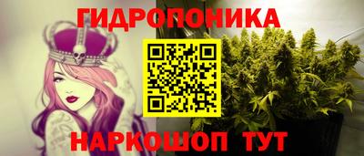 индика Бузулук
