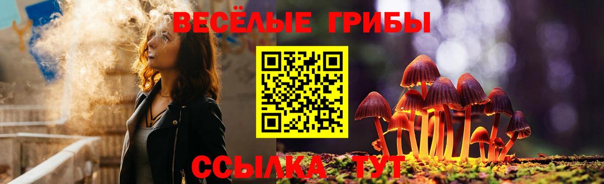 Галлюциногенные грибы Magic Shrooms  купить наркотик  Хабаровск  Вход с VPN 