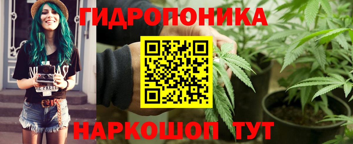 Конопля сатива  Бошки Шишки конопля  Хабаровск  Канабис ГИДРОПОН  Вход с VPN 